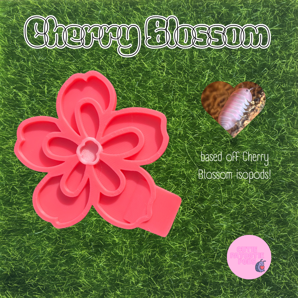 Cherry Blossom ~ Isopod , Invertebrate Feeder