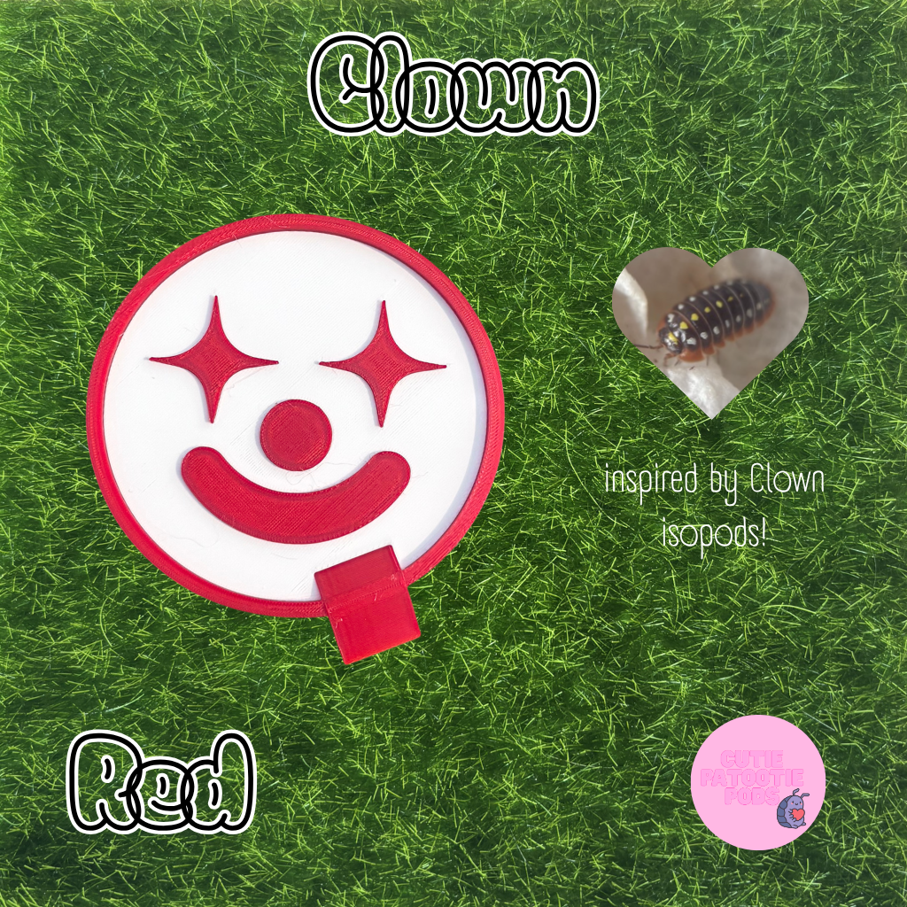 Clown ~ Isopod , Invertebrate Feeder