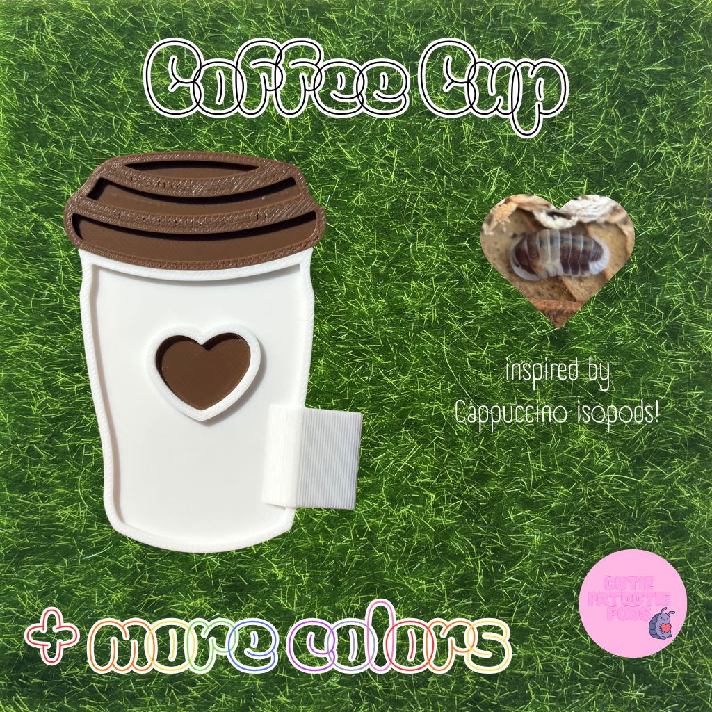 Coffee Cup ~ Isopod , Invertebrate Feeder