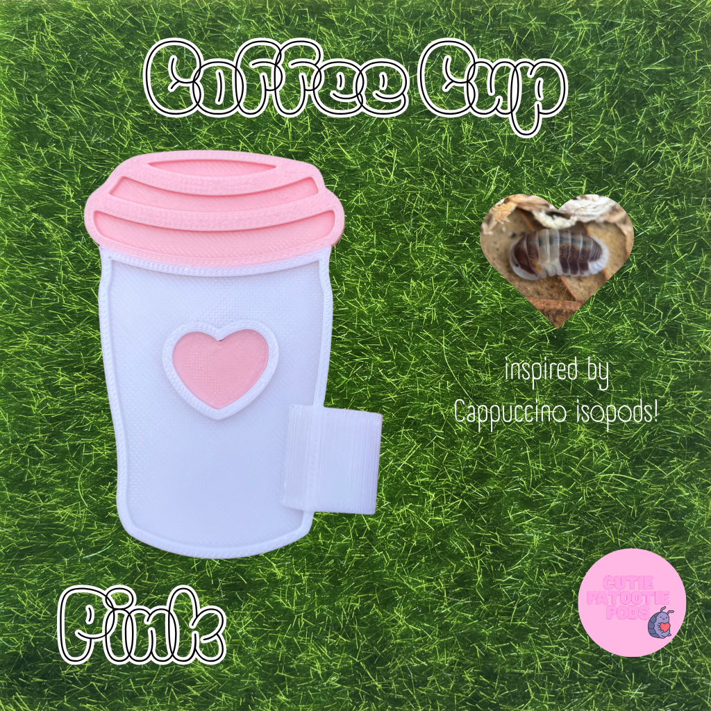 Coffee Cup ~ Isopod , Invertebrate Feeder