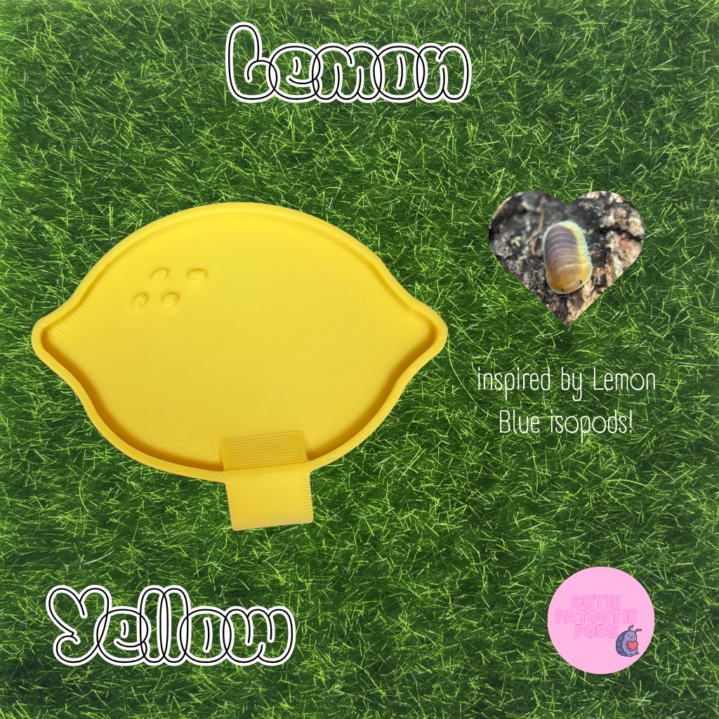 Lemon ~ Isopod , Invertebrate Feeder