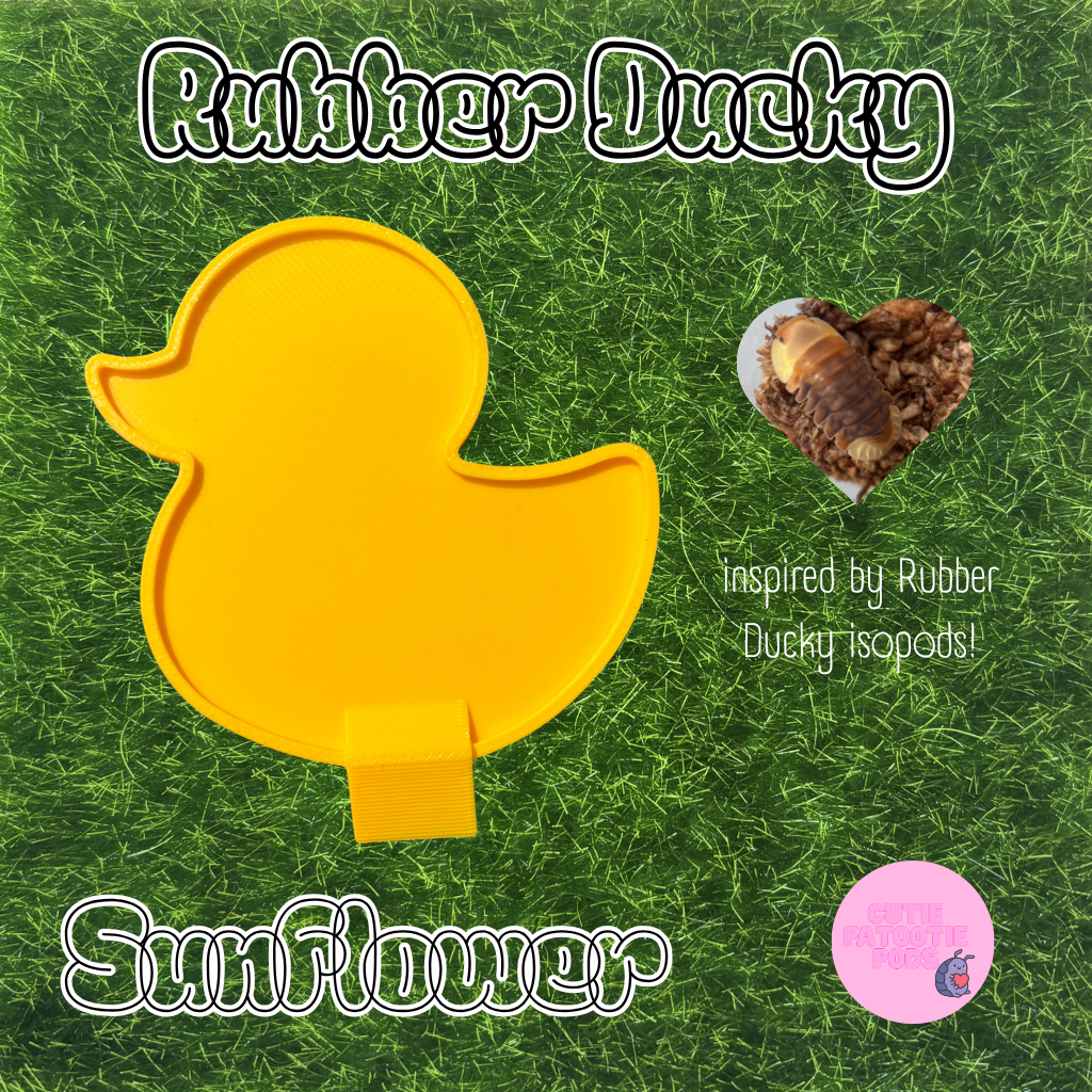 Ducky ~ Isopod , Invertebrate Feeder