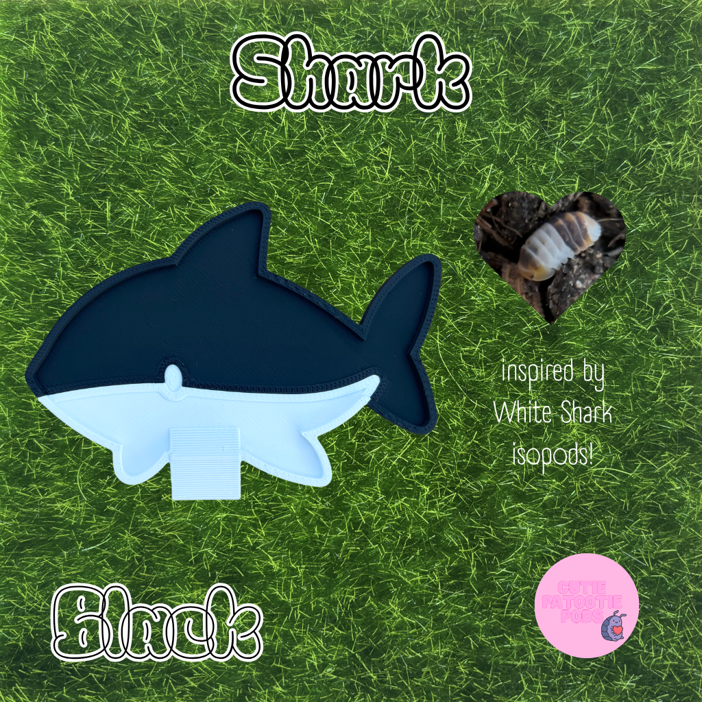 Shark Isopod Feeder ~ Isopod , Invertebrate Feeder