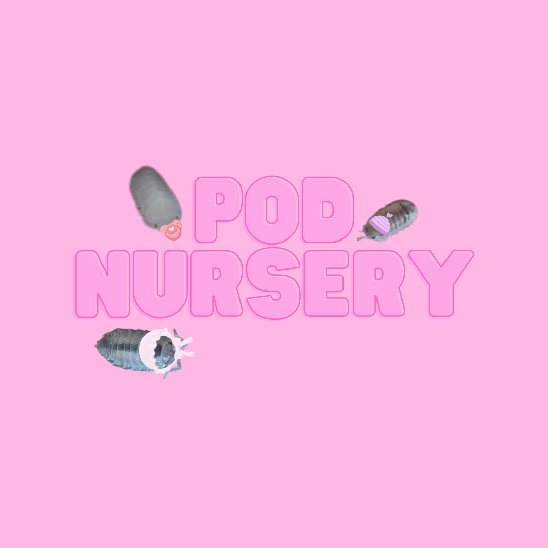 Pod Nursery