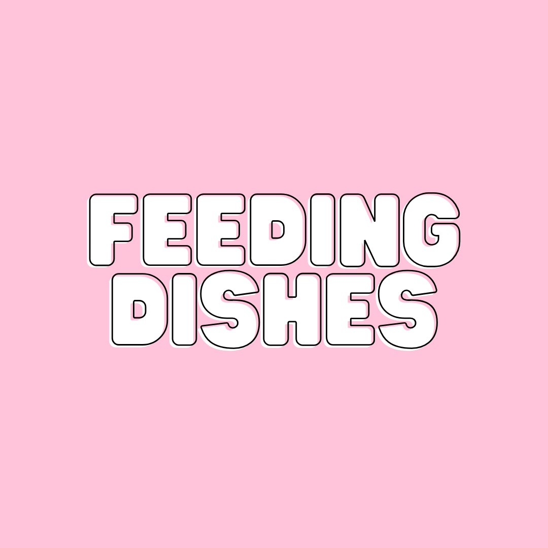 Feeding Dishes