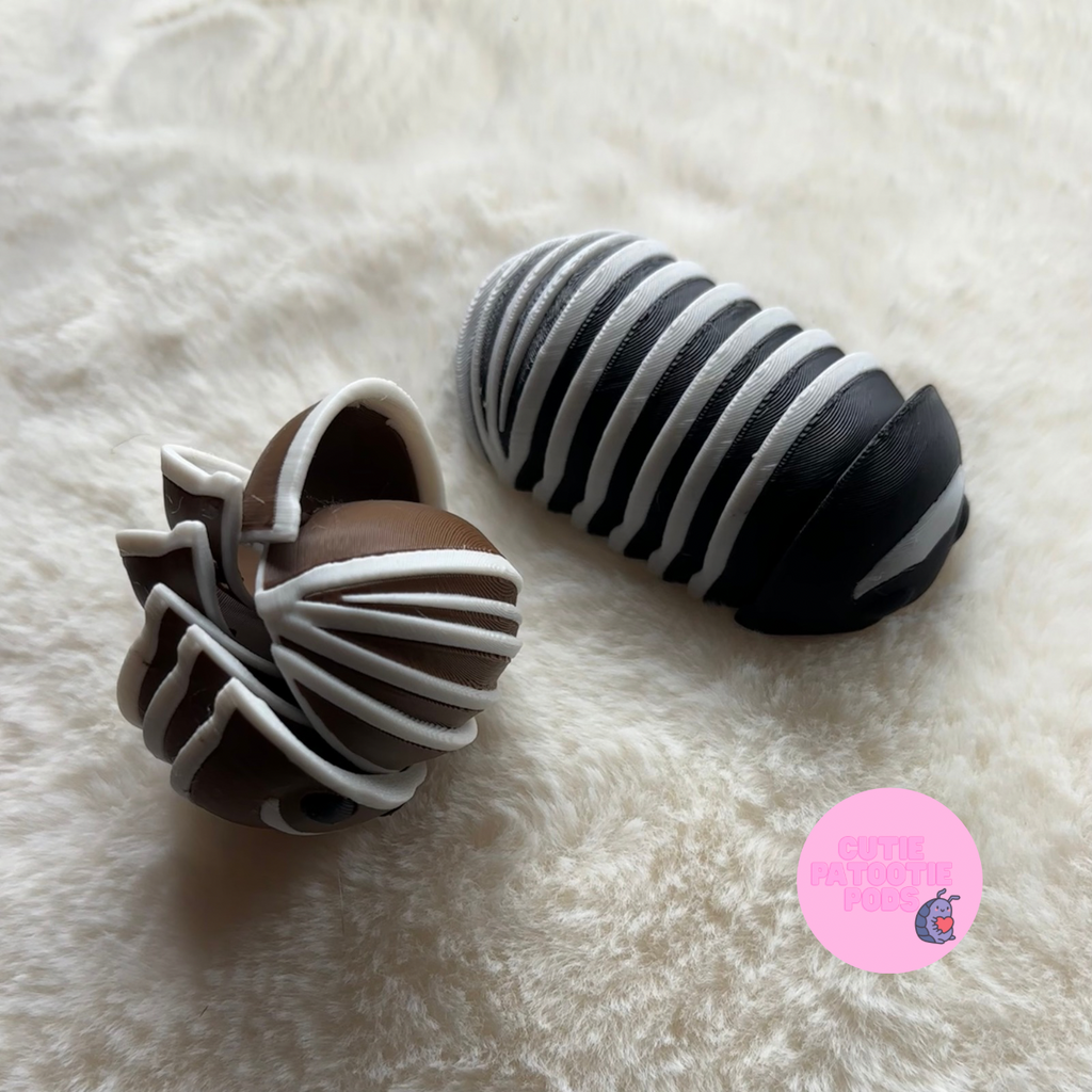 Armadillidium Isopod Fidget