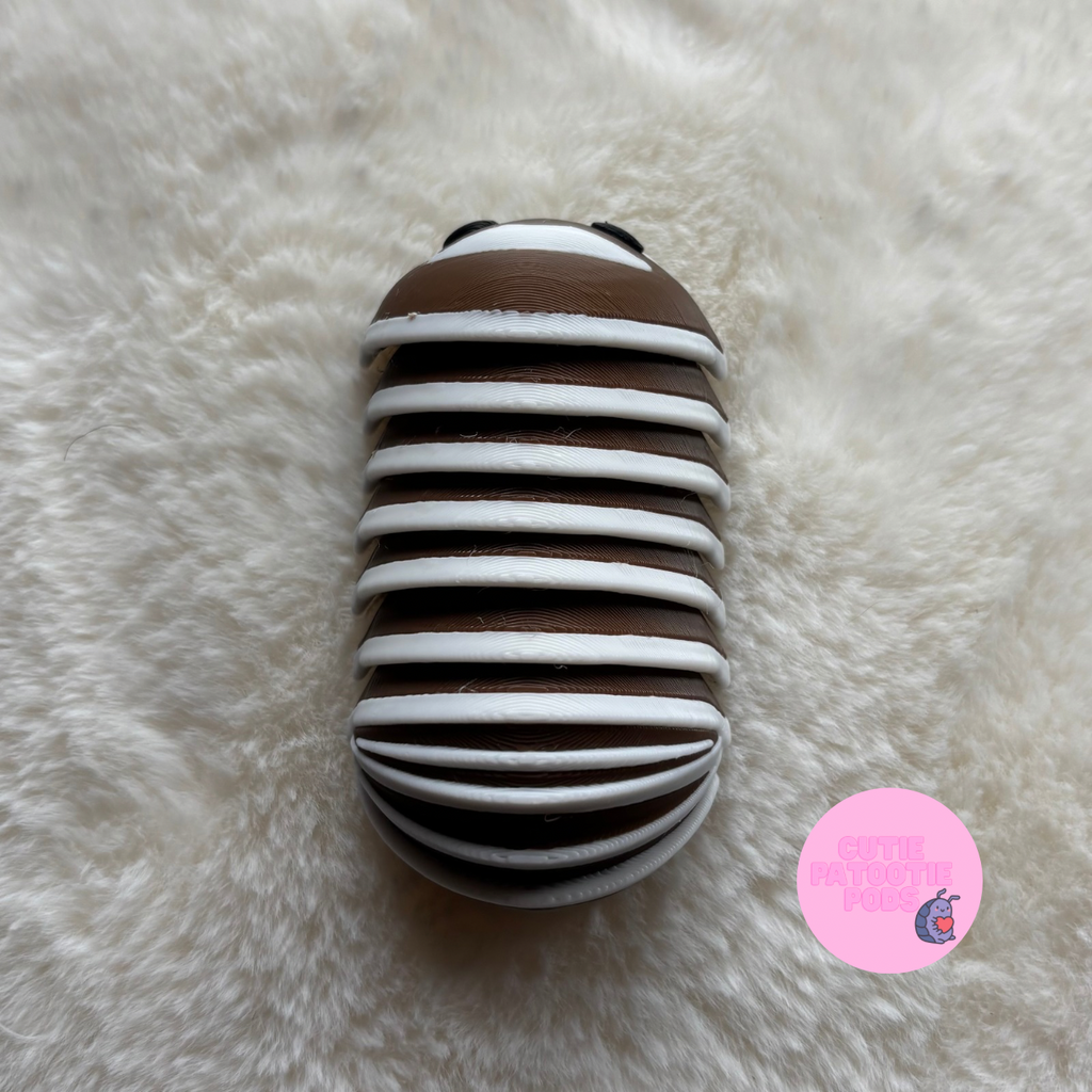 Armadillidium Isopod Fidget