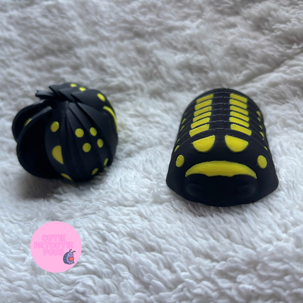 Armadillidium Gestroi Isopod Fidget