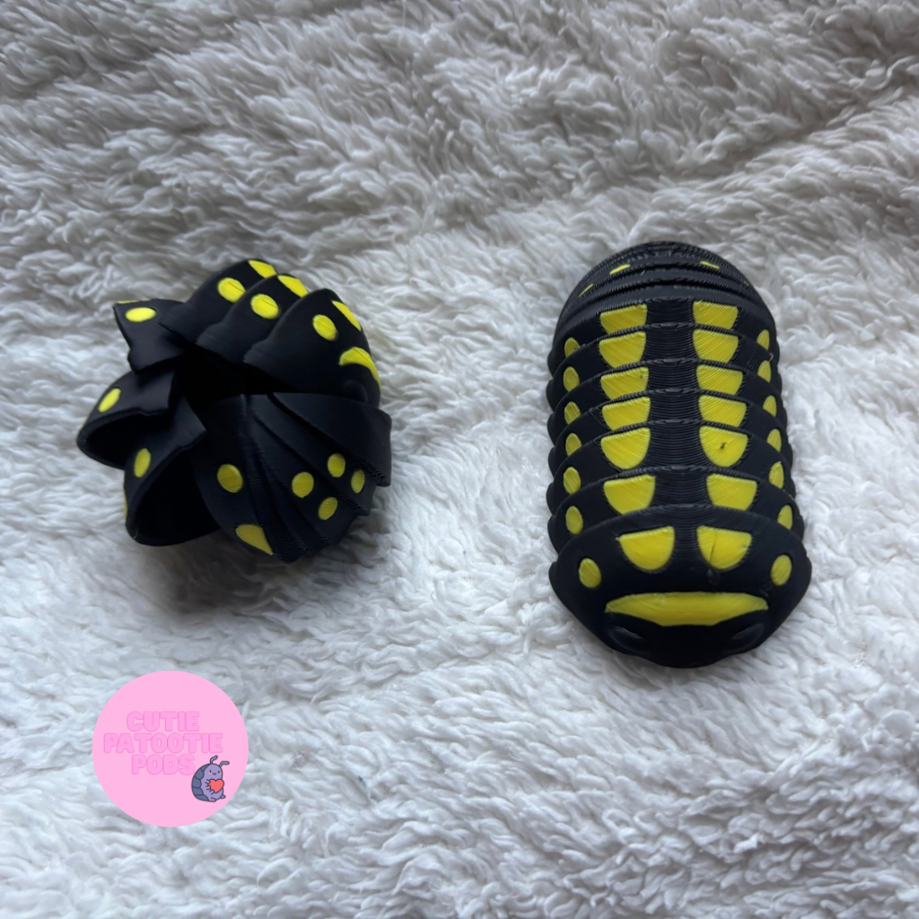 Armadillidium Gestroi Isopod Fidget