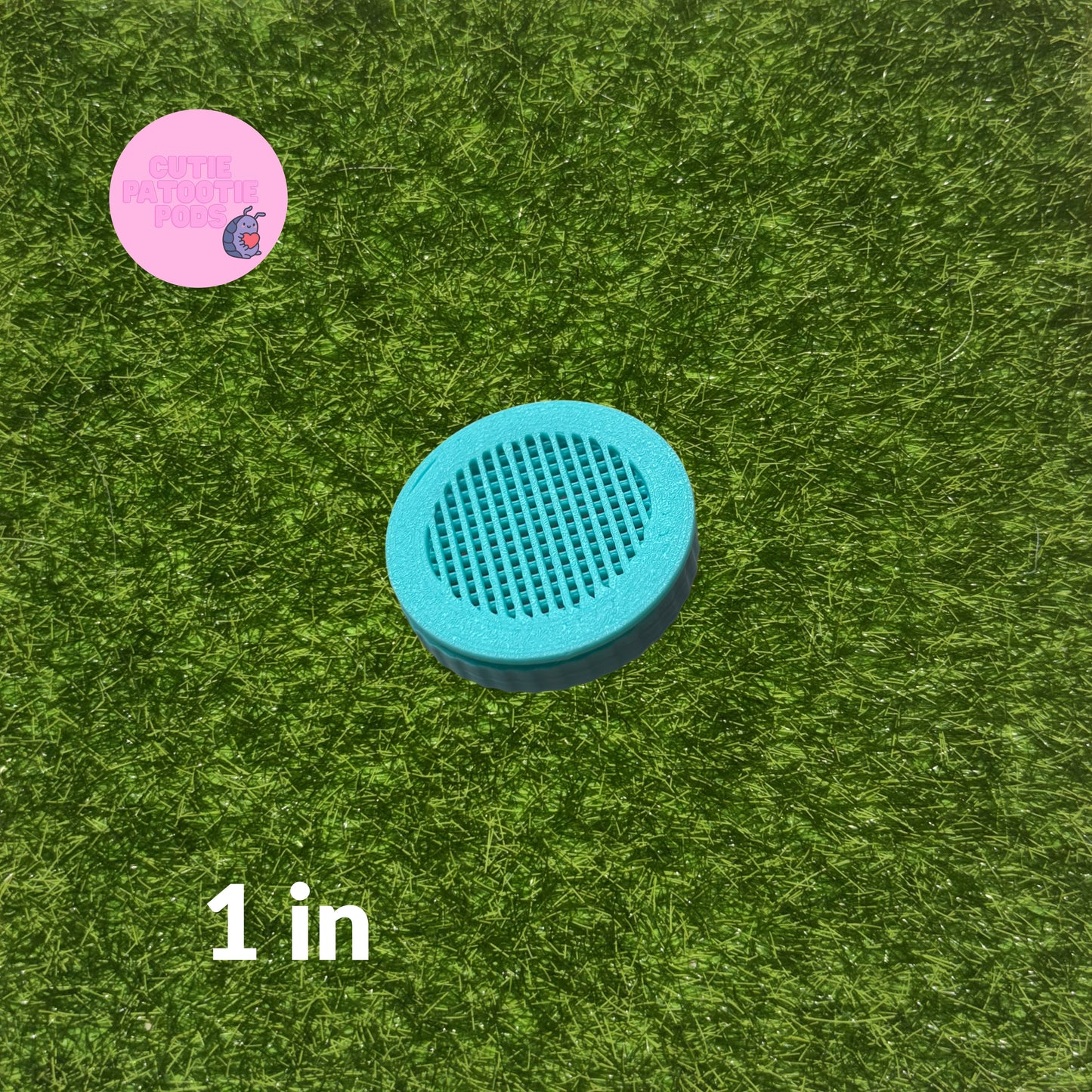 Turquoise Enclosure Air Vents