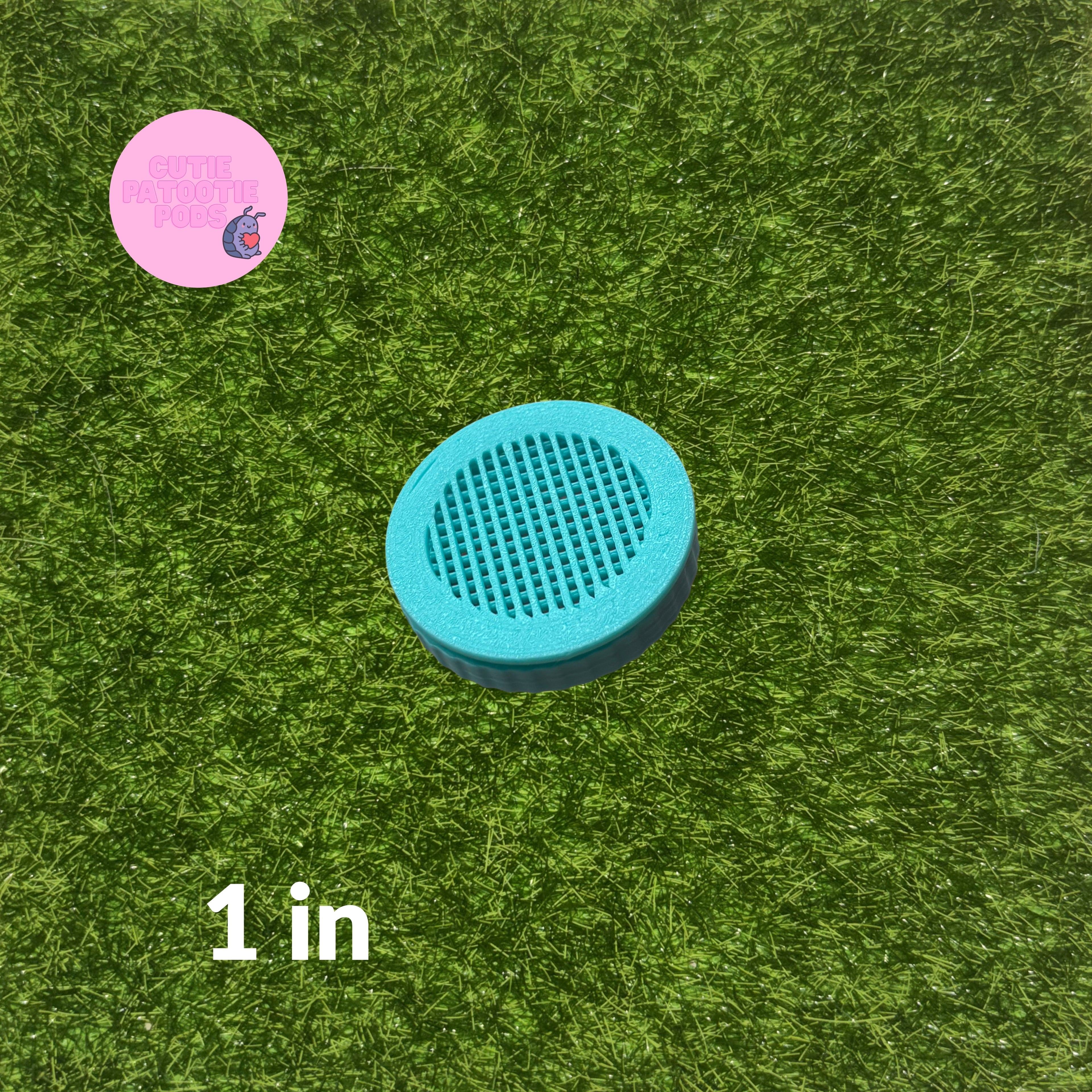 Turquoise Enclosure Air Vents