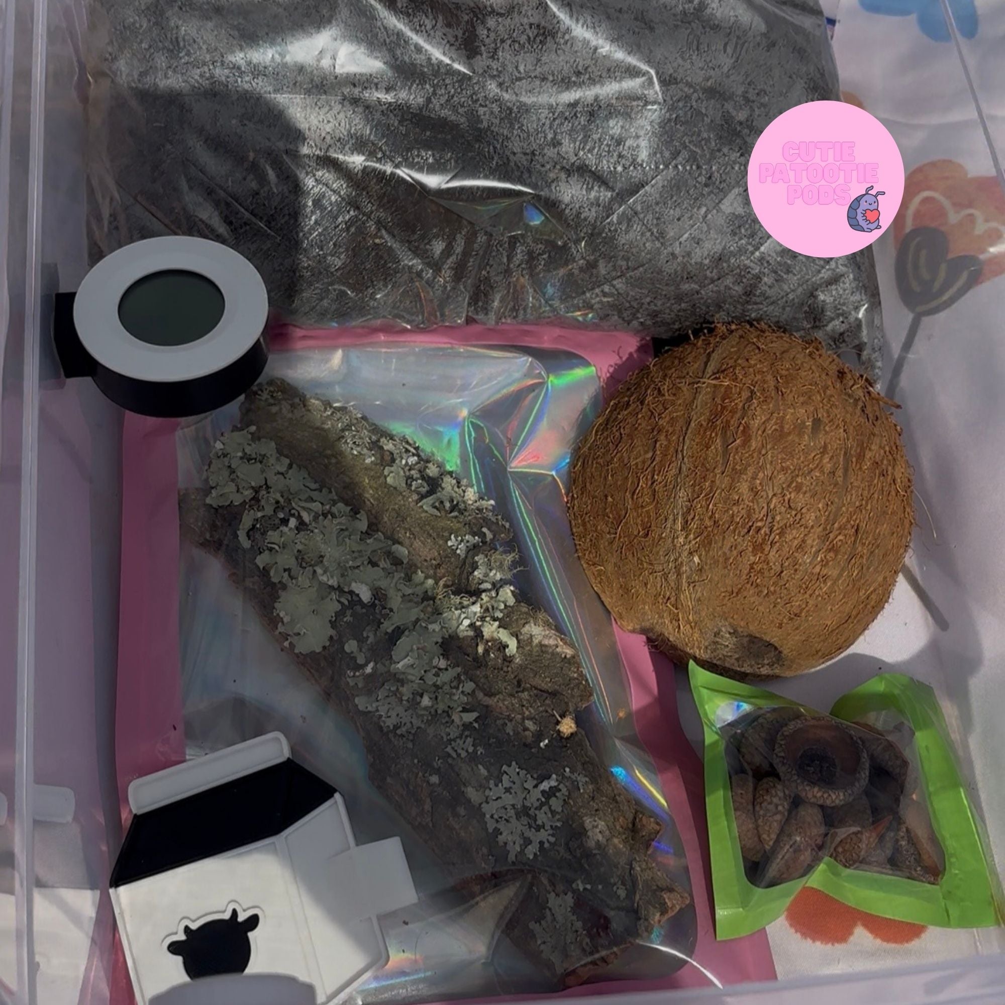 Themed Isopod Enclosure