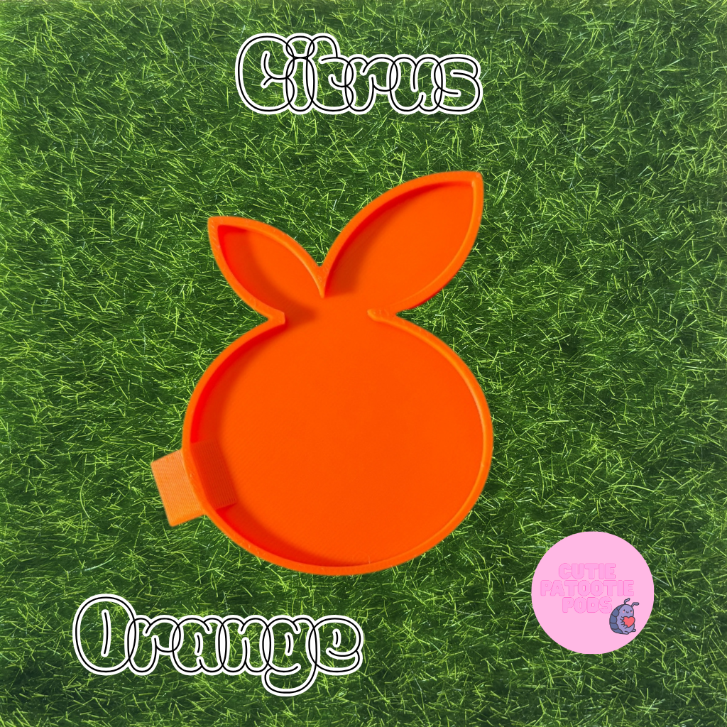 Citrus Isopod Feeder