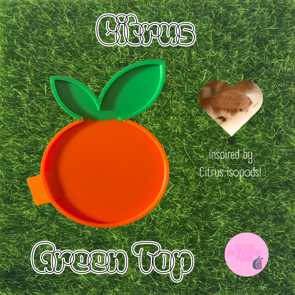 Citrus ~ Isopod , Invertebrate Feeder