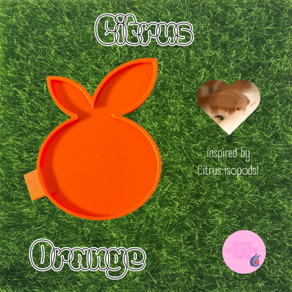 Citrus ~ Isopod , Invertebrate Feeder