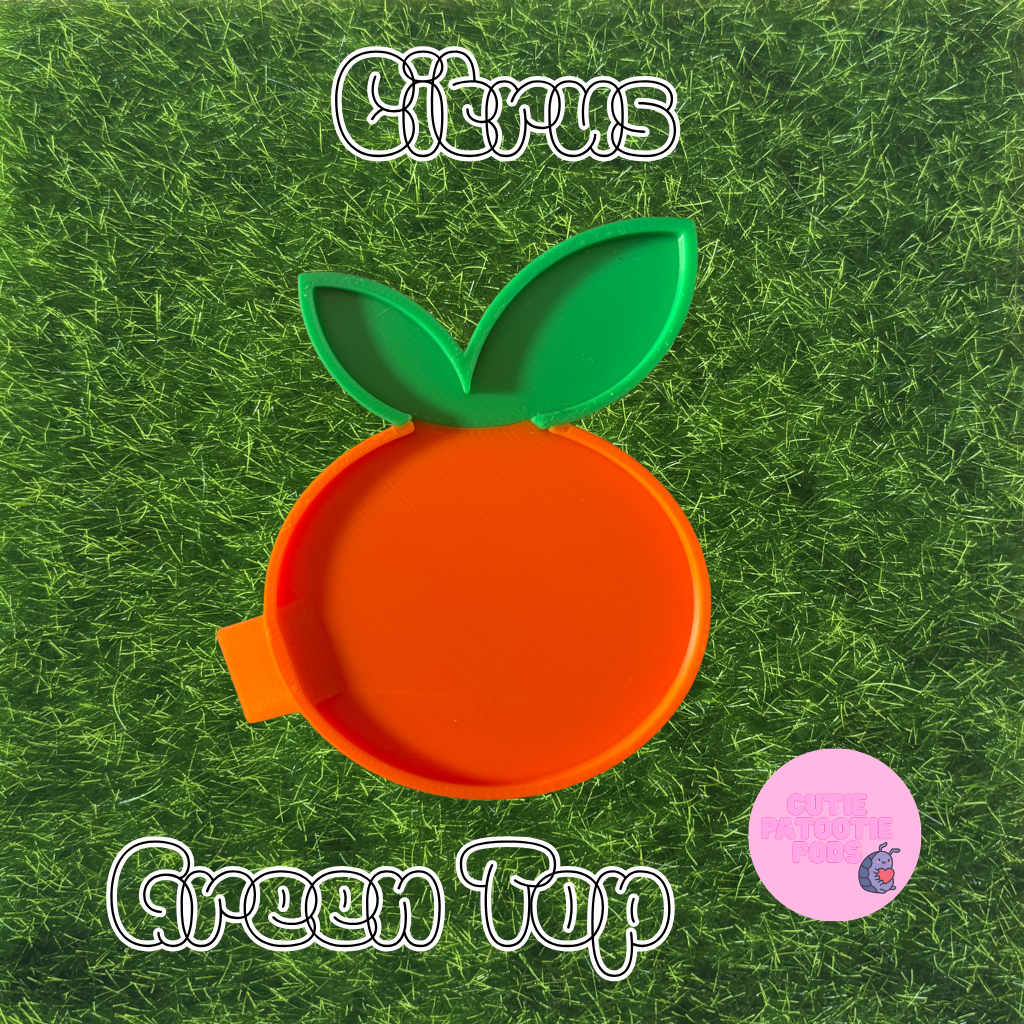 Citrus Isopod Feeder
