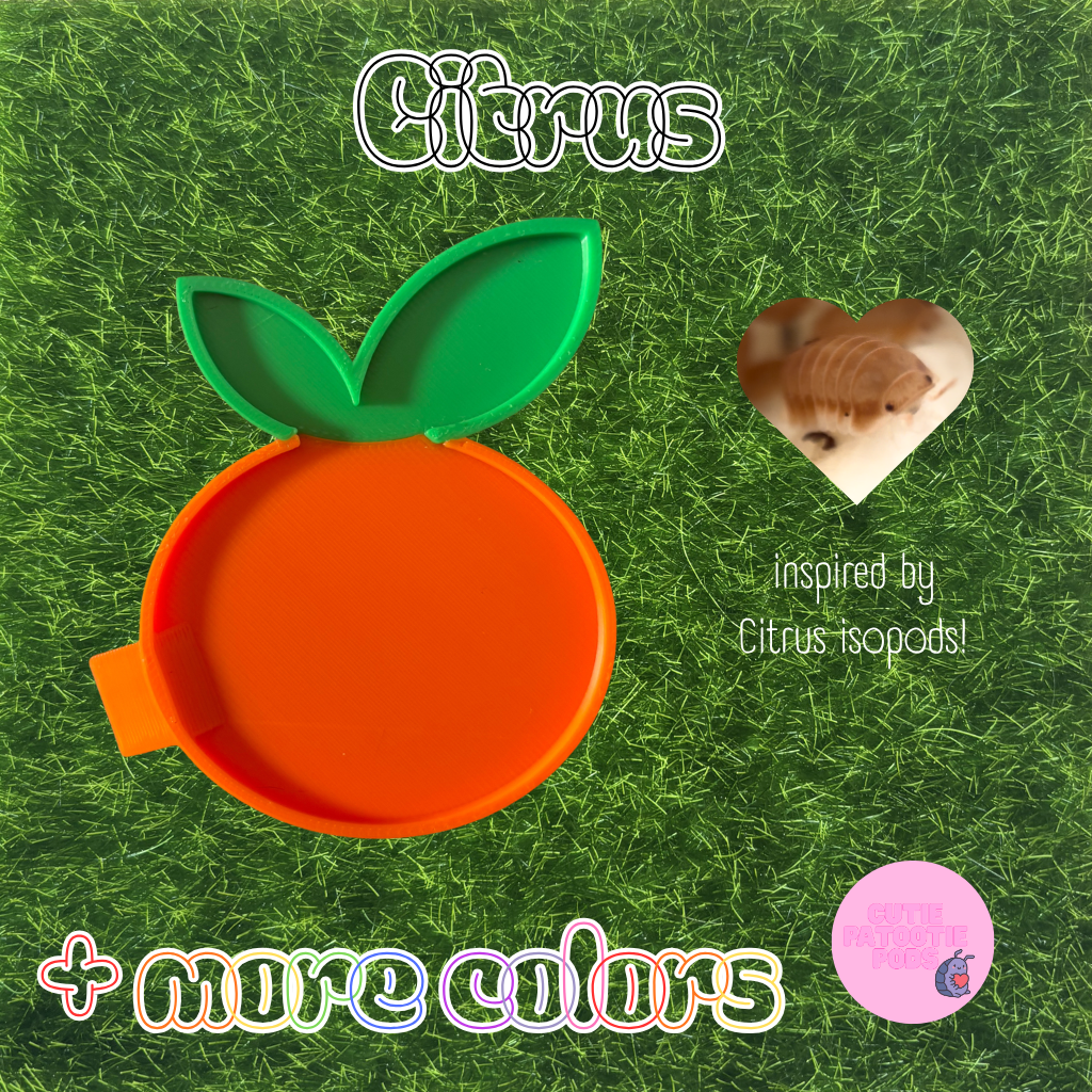Citrus ~ Isopod , Invertebrate Feeder