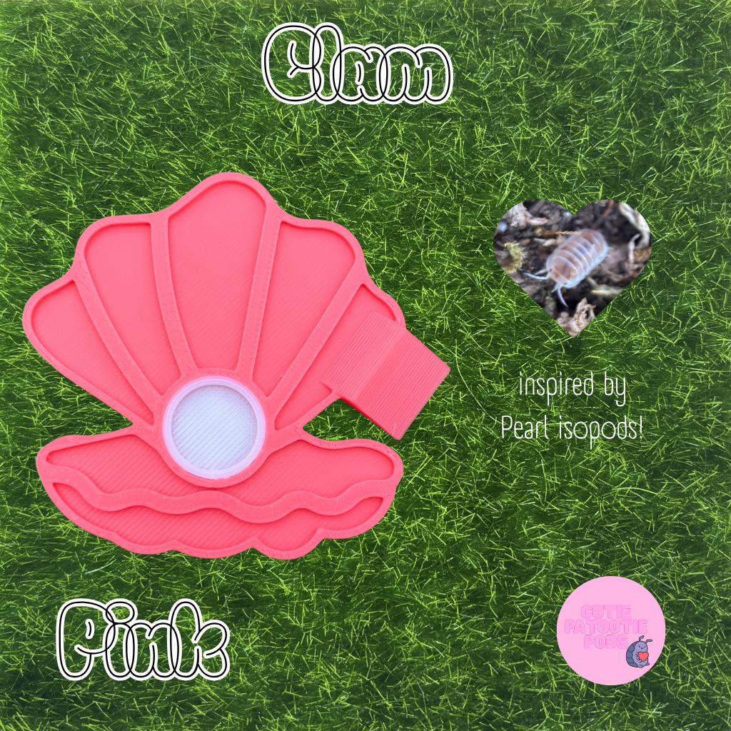 Clam ~ Isopod , Invertebrate Feeder