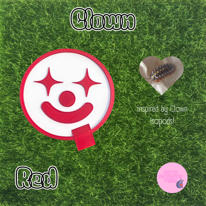 Clown ~ Isopod , Invertebrate Feeder
