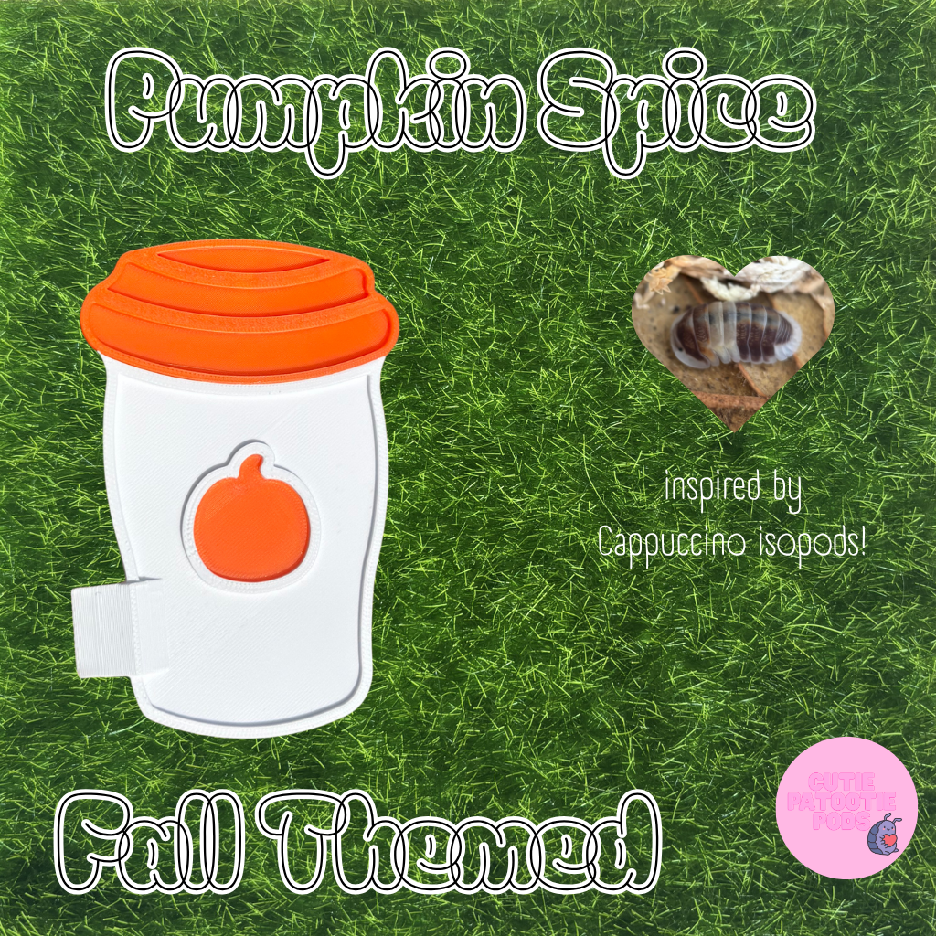 Coffee Cup ~ Isopod , Invertebrate Feeder
