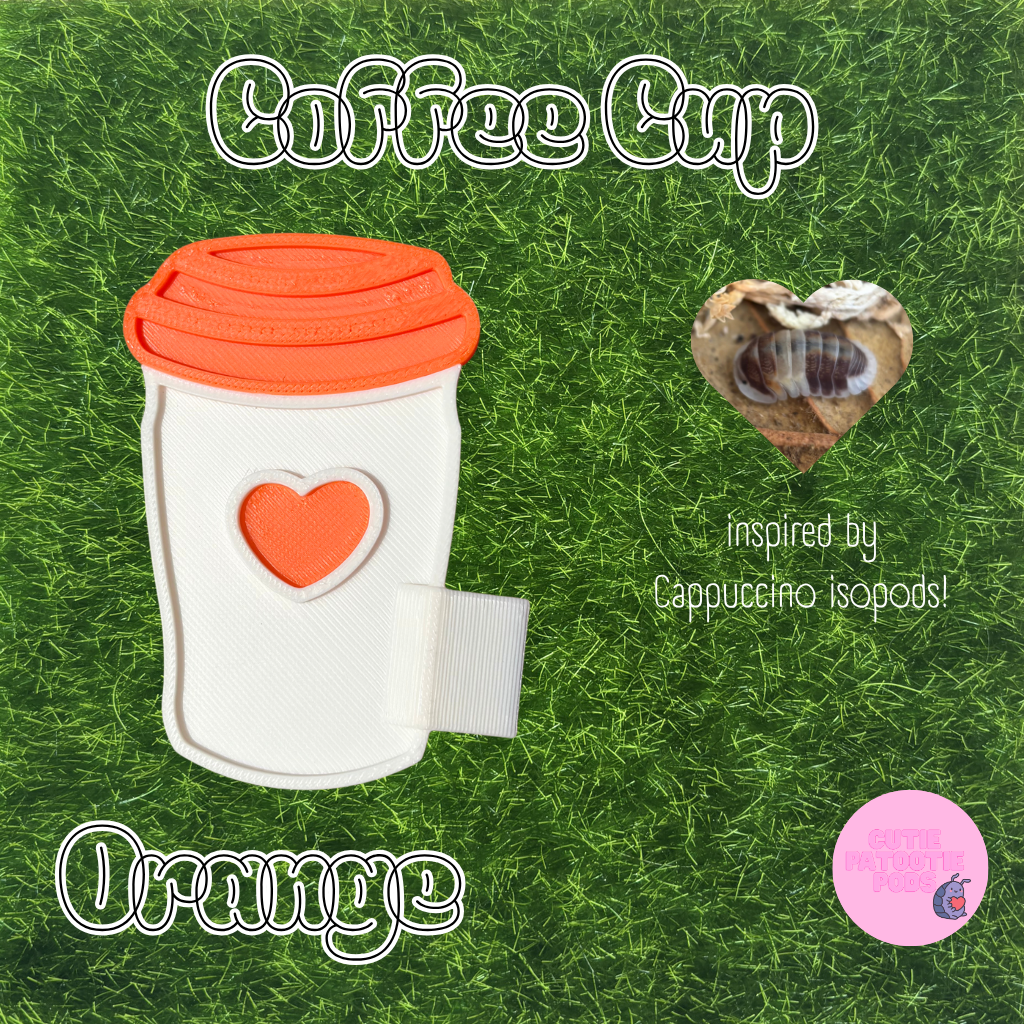 Coffee Cup ~ Isopod , Invertebrate Feeder