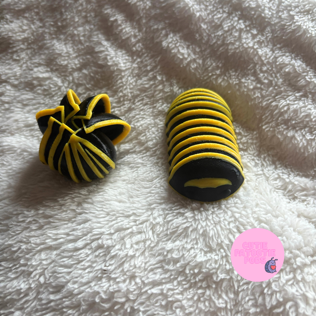Armadillidium Isopod Fidget
