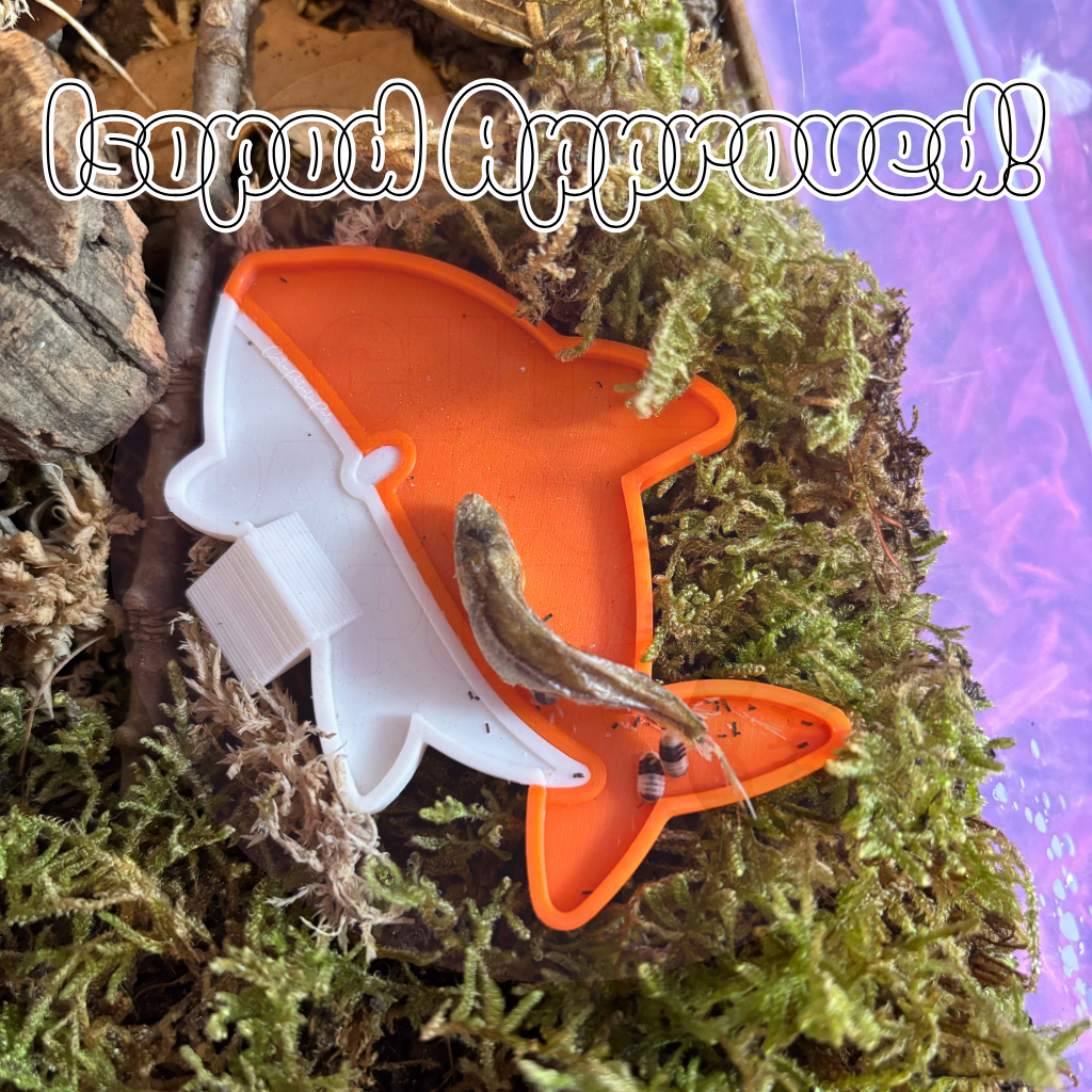 Shark Isopod Feeder