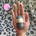 Panda King Isopod Fidget