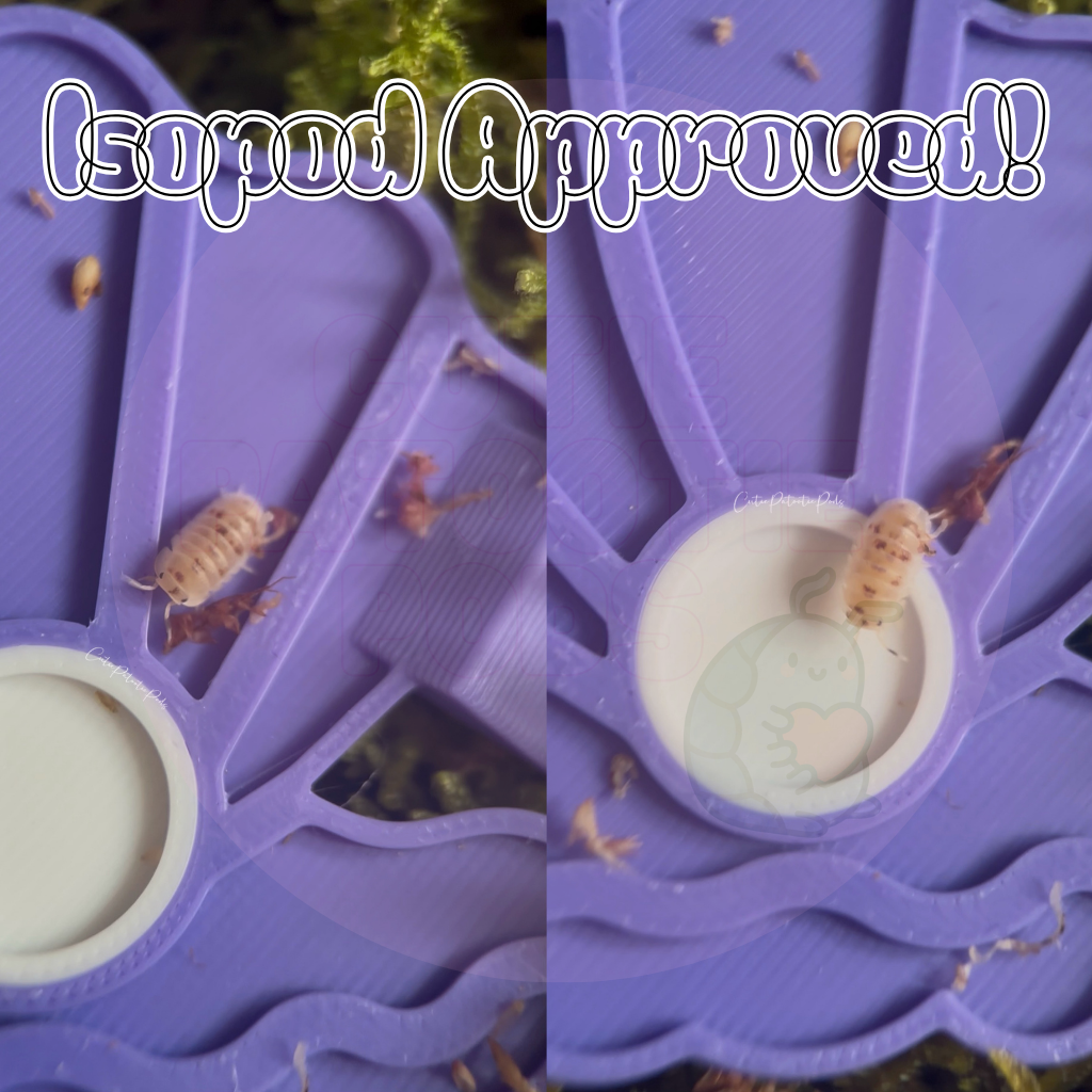 Pearl Isopod Feeder