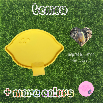 Lemon ~ Isopod , Invertebrate Feeder