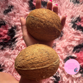 2 Coconut Halves ~ Isopod Hide