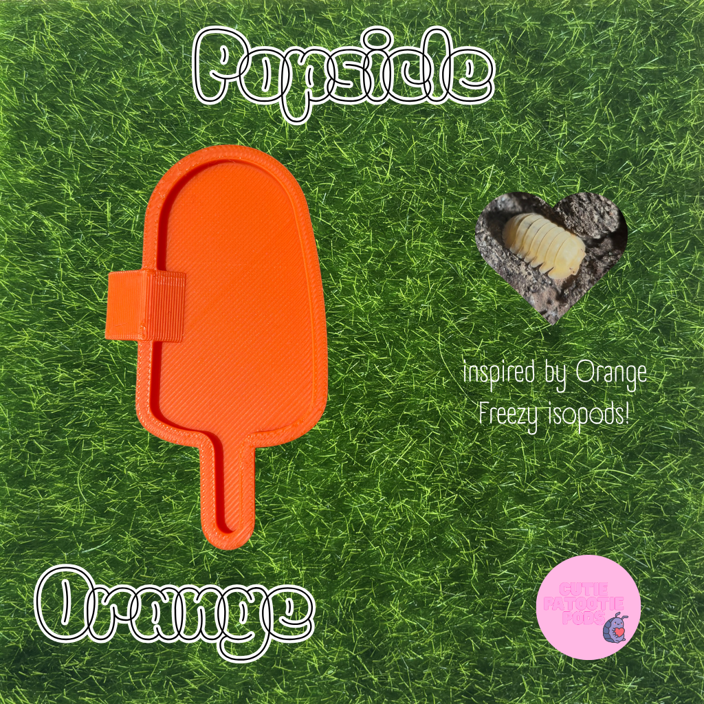 Popsicle ~ Isopod , Invertebrate Feeder