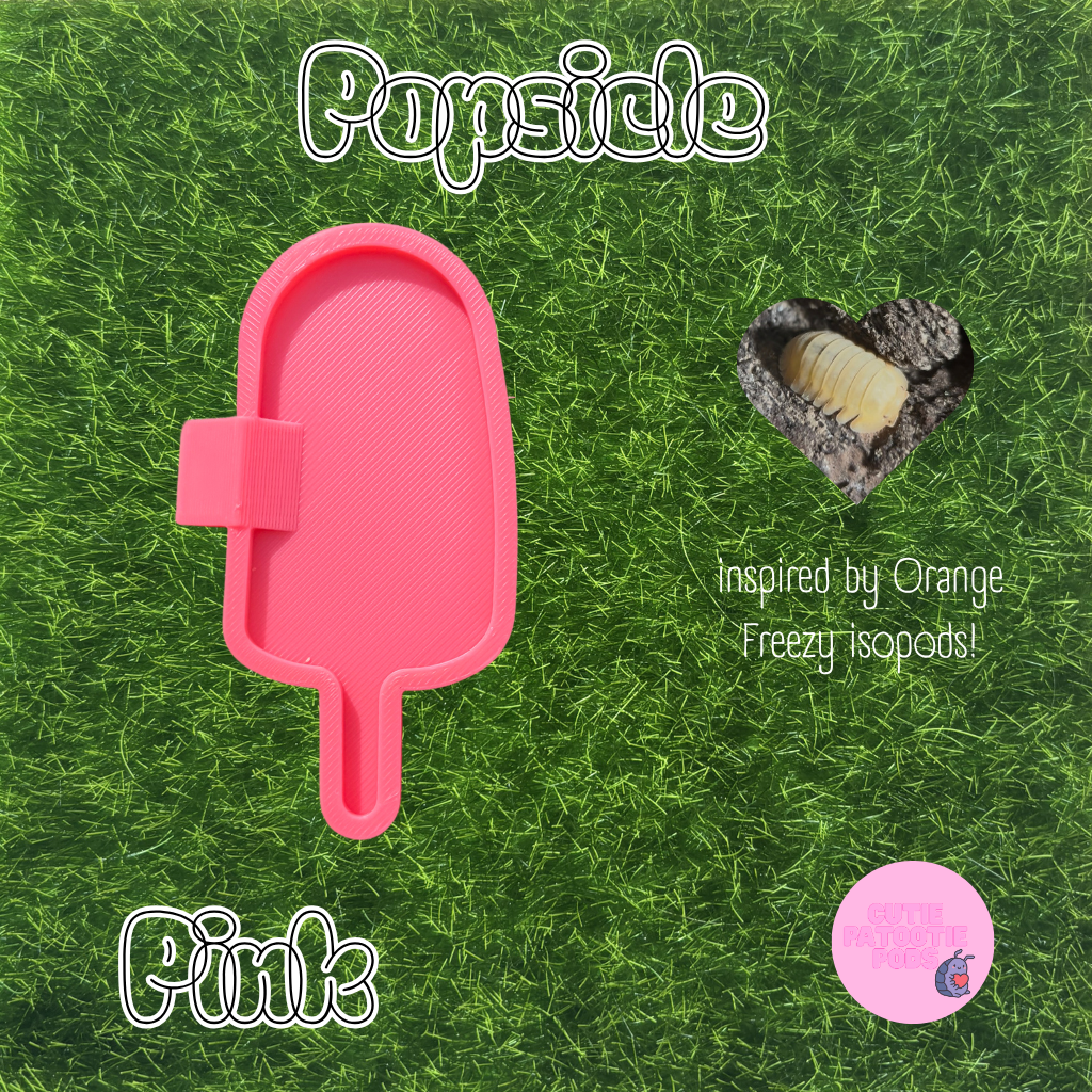 Popsicle ~ Isopod , Invertebrate Feeder