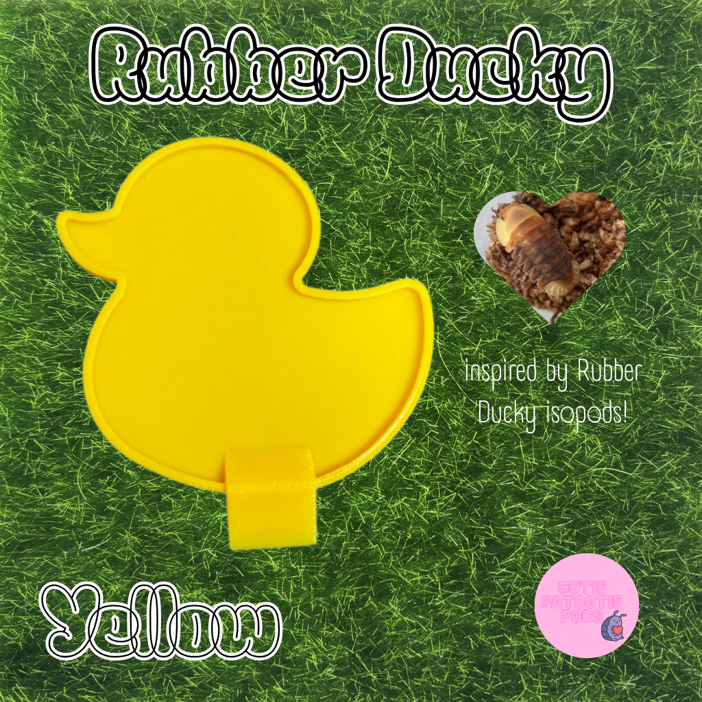 Ducky ~ Isopod , Invertebrate Feeder