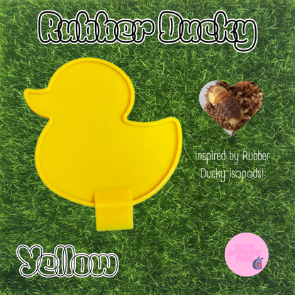 Ducky ~ Isopod , Invertebrate Feeder