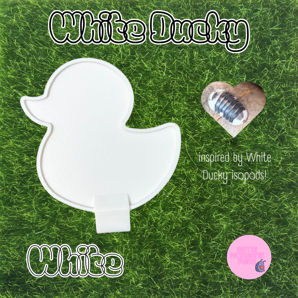 Ducky ~ Isopod , Invertebrate Feeder