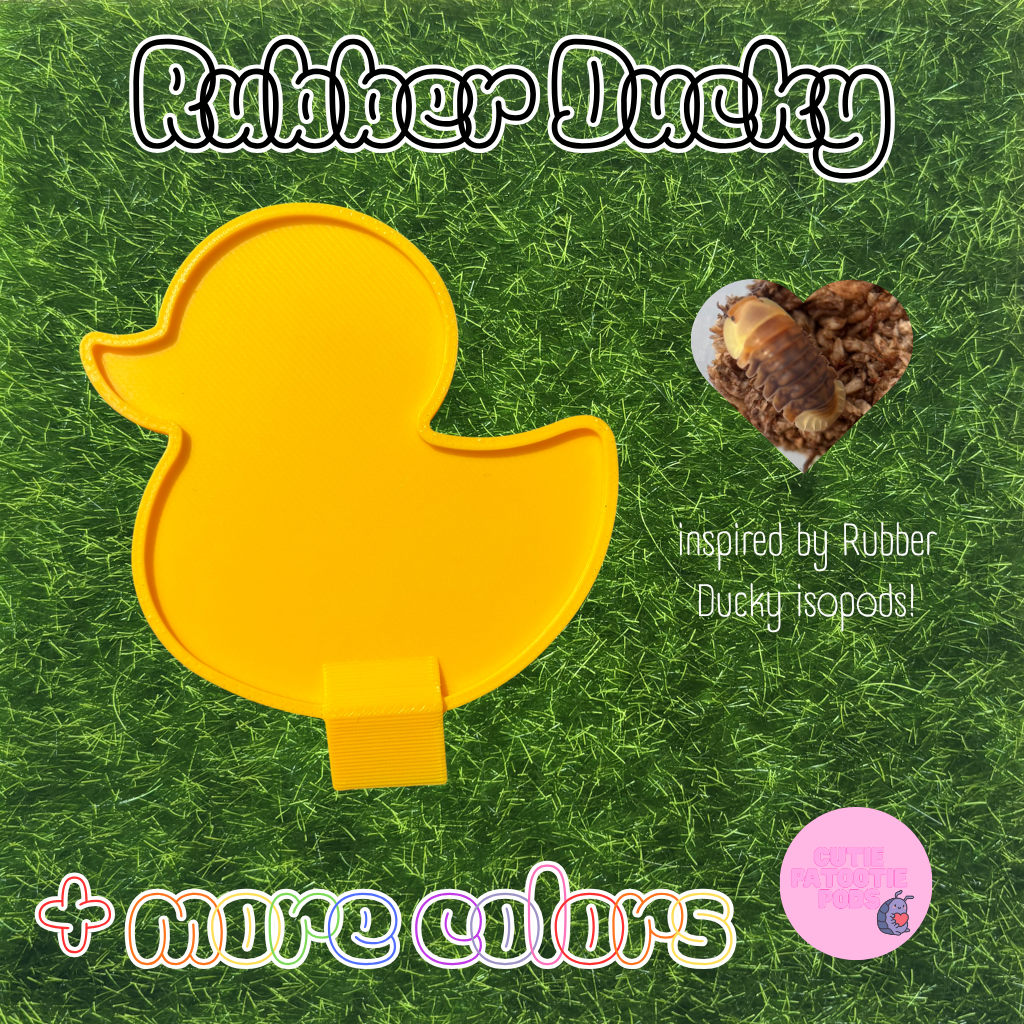 Ducky ~ Isopod , Invertebrate Feeder