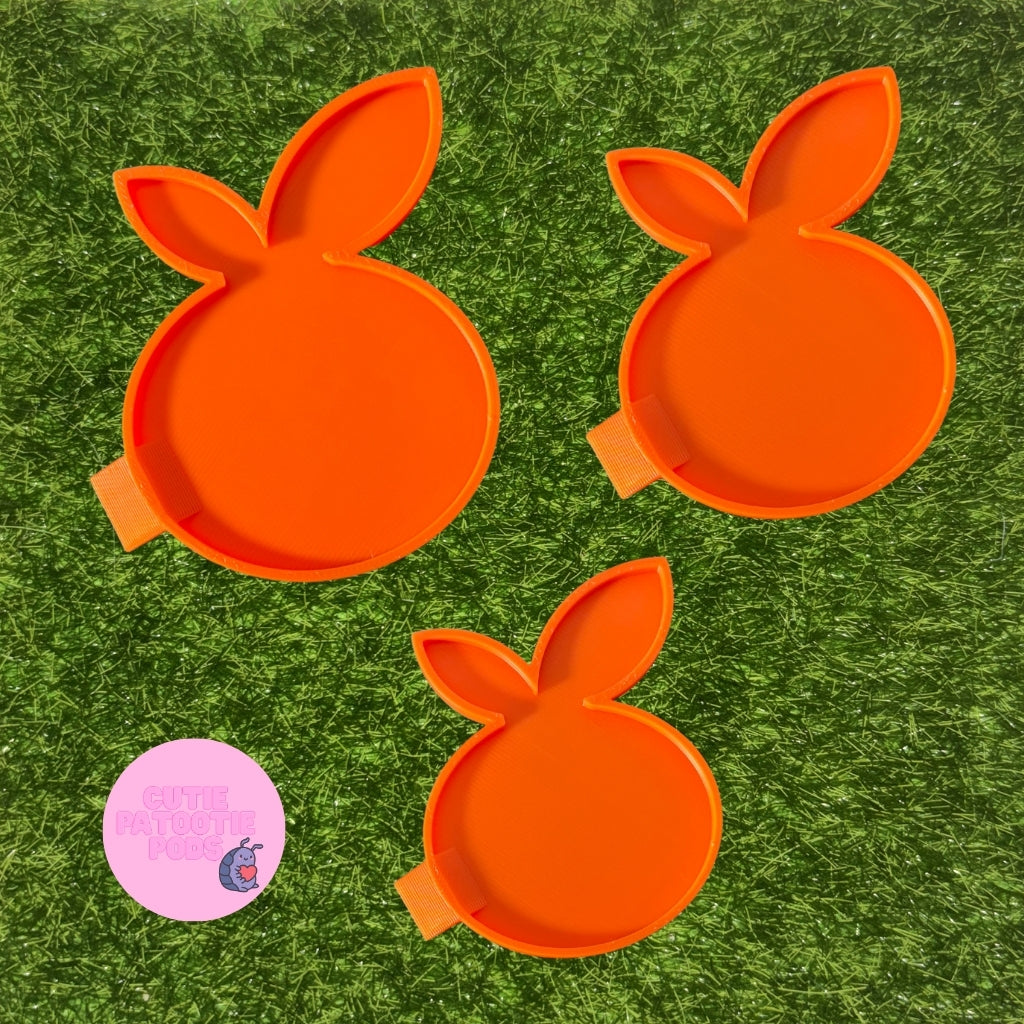 Citrus Isopod Feeder