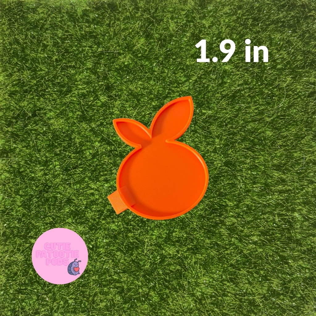 Citrus Isopod Feeder