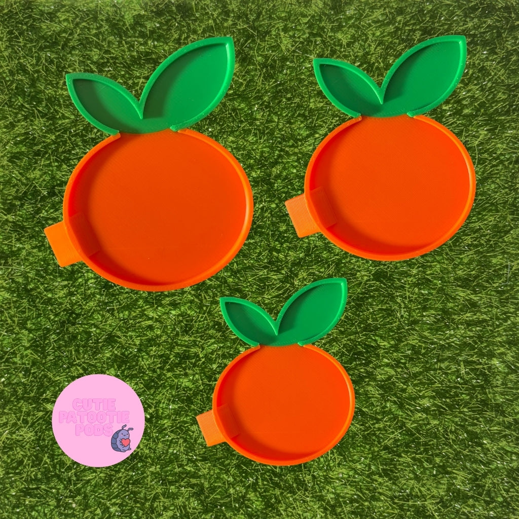 Citrus Isopod Feeder