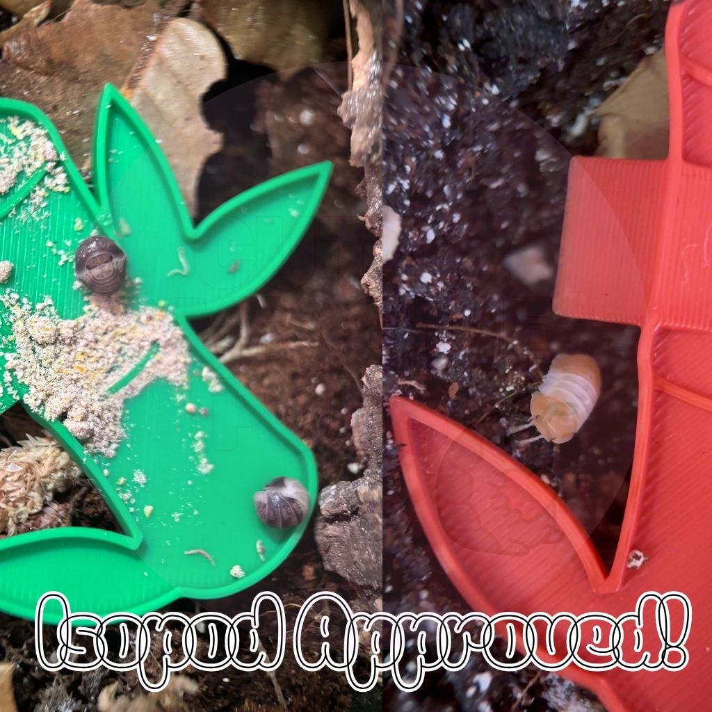 Bamboo Isopod Feeder