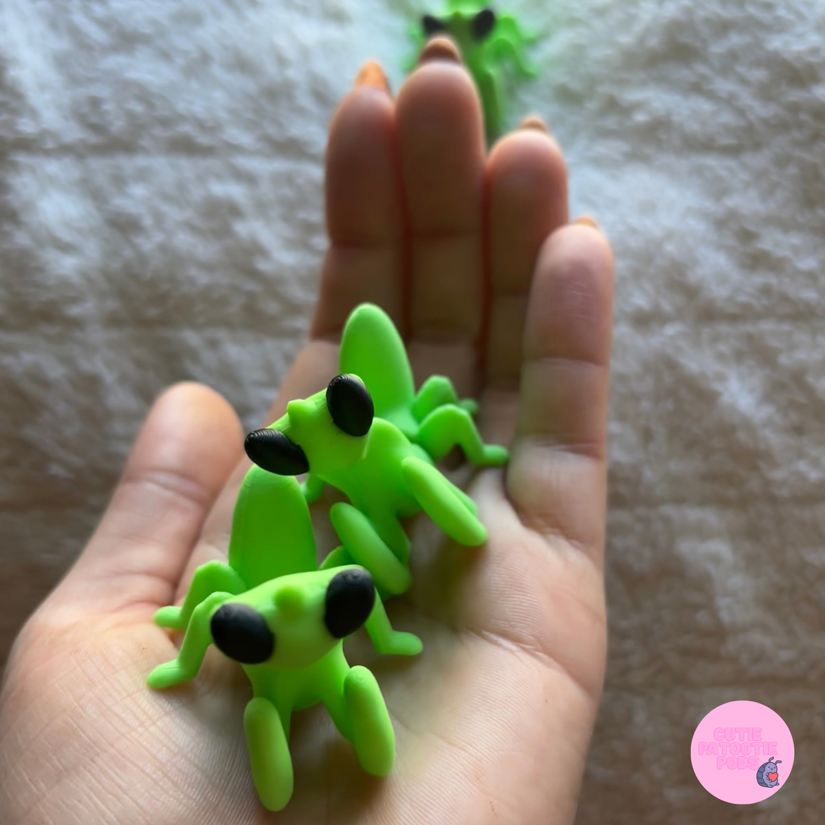 Praying Mantis Fidget