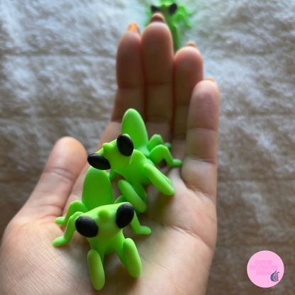 Praying Mantis Fidget