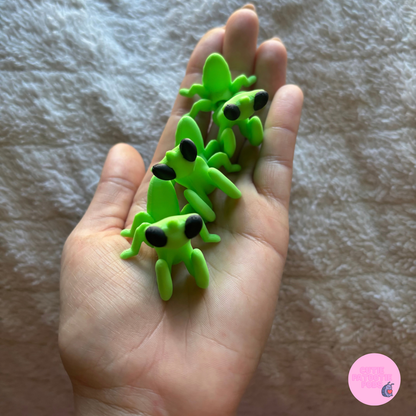 Praying Mantis Fidget