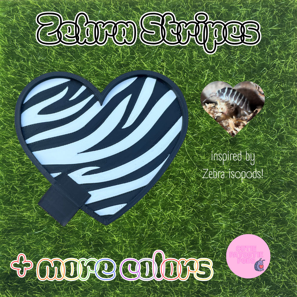 Zebra Stripes ~ Isopod , Invertebrate Feeder