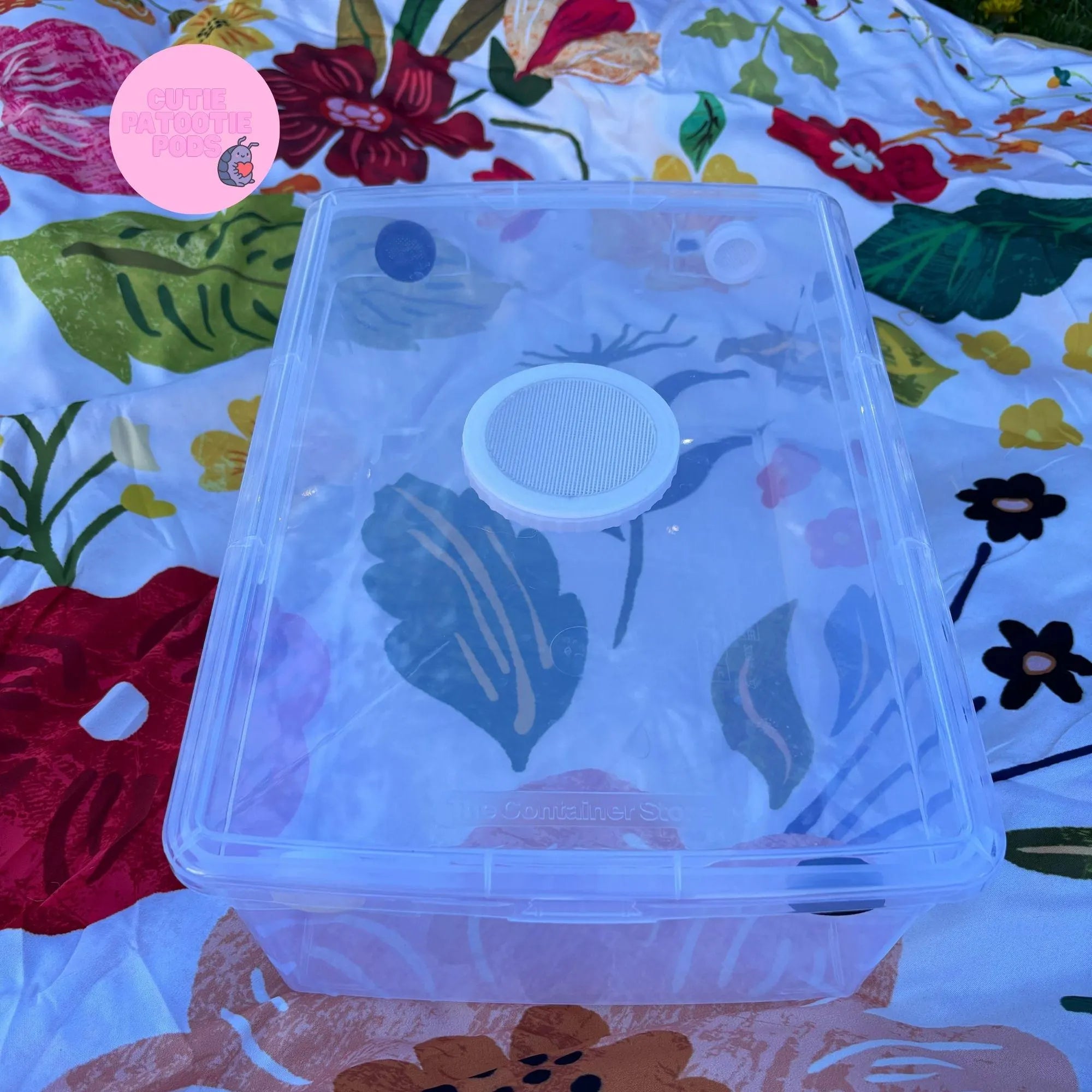 Themed Isopod Enclosure