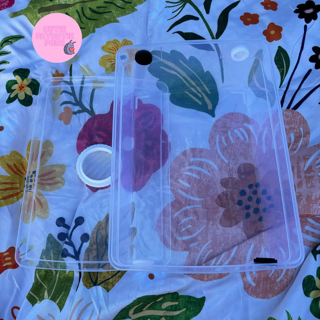 Themed Isopod Enclosure