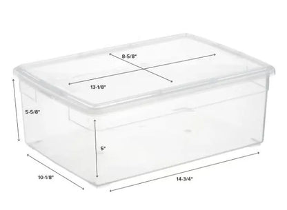 Themed Isopod Enclosure